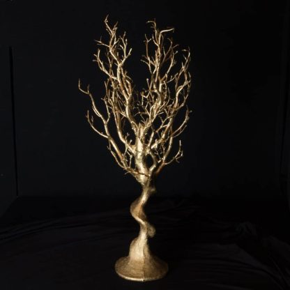 Gold Manzanita Tree