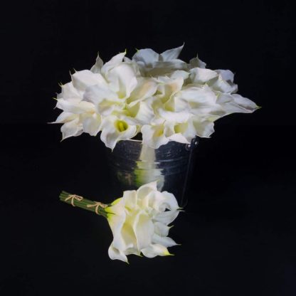 White Artificial Calla Lily