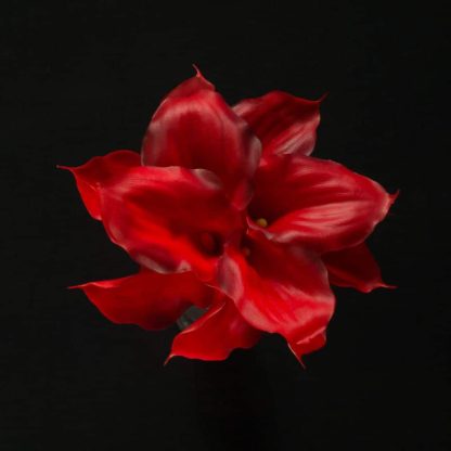 Red Artificial Calla Lily