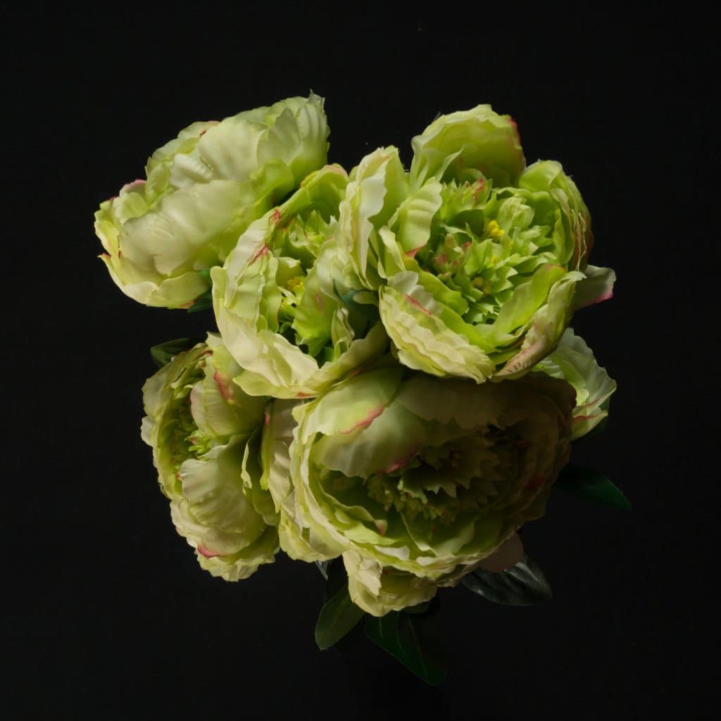 Artificial Peony Flowers - 9 Head Green