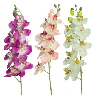 78cm Artificial Orchid