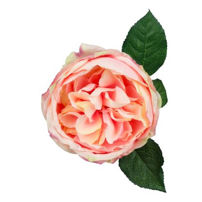10cm Artificial Austin Rose Top - Pink