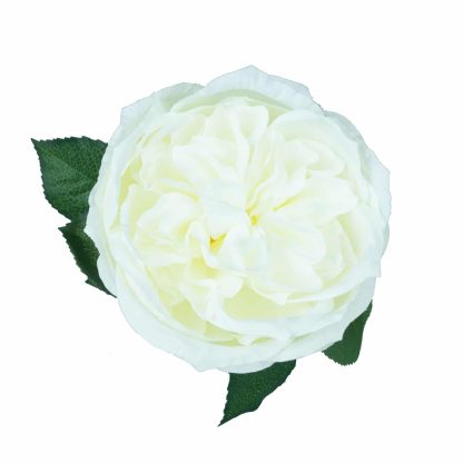 10cm Artificial Austin Rose Top - White