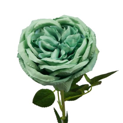 14cm Artificial Austin Rose Single - Green