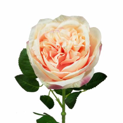 14cm Artificial Austin Rose Single - Pink
