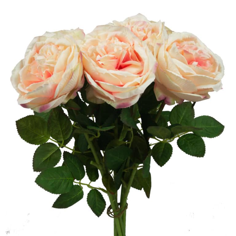 High Quality Artificial Austin Rose - Classic English Rose Wholesale