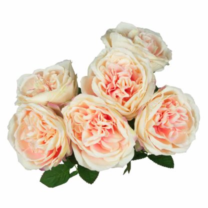 High Quality Artificial Austin Rose - Classic English Rose Wholesale