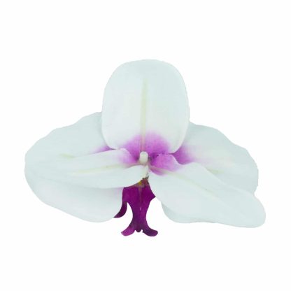 Artificial Orchid Flower Heads Bottom - Artificial Orchid Flowers Heads Bottom - White and Purple 2