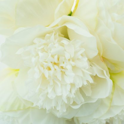 Artificial Peony Flower White 3