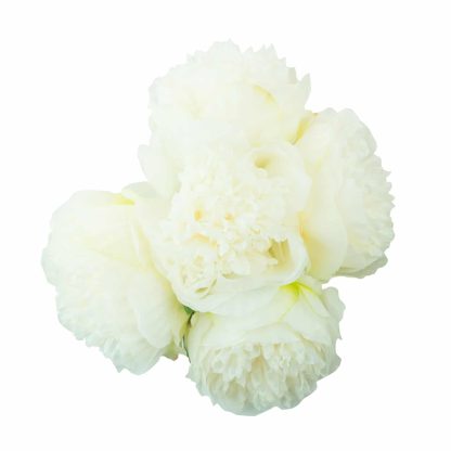 Artificial Peony Flower White 3