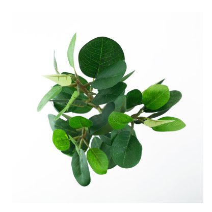 Artificial Fig Leaf Branch