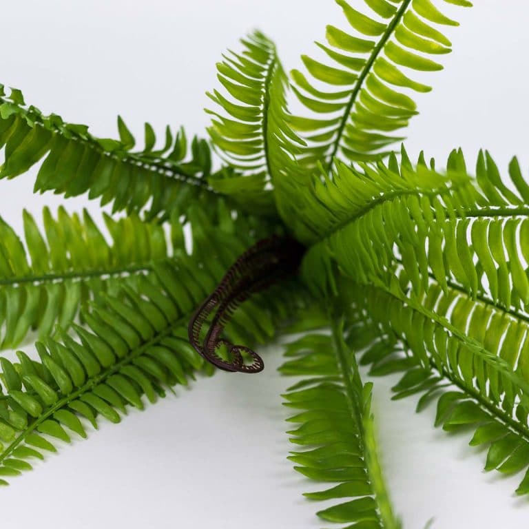 Artificial Fern Spray - Realistic High Quality Tropical Fern Branch