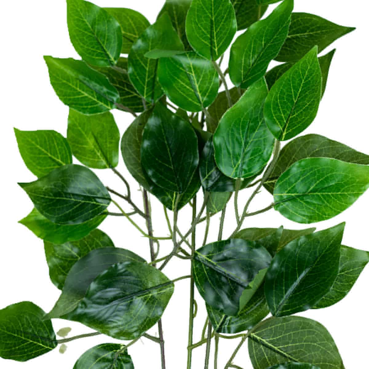 Event Equipment Shop In Any Event Wholesale Event Supplies