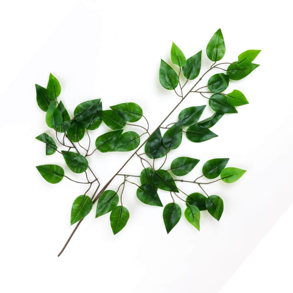 Artificial Ficus Branch Realistic High Quality Leafy Branch