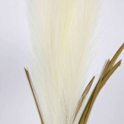 Artificial Pampas Grass - White