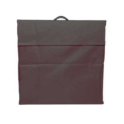 Beer Pong Table Bag - Optional Bag
