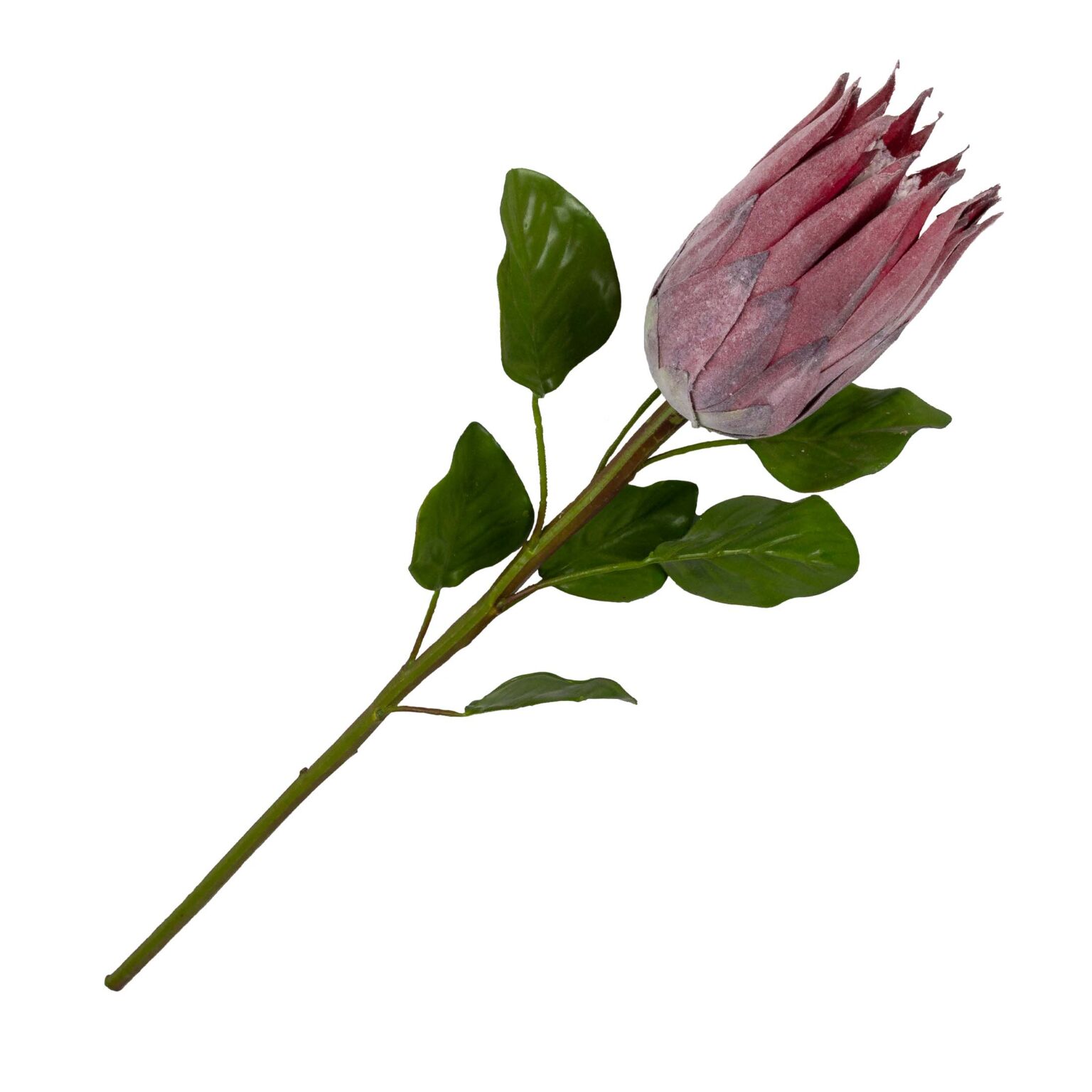 Artificial Protea Flower Stem 66cm Stunning Artificial Flowers