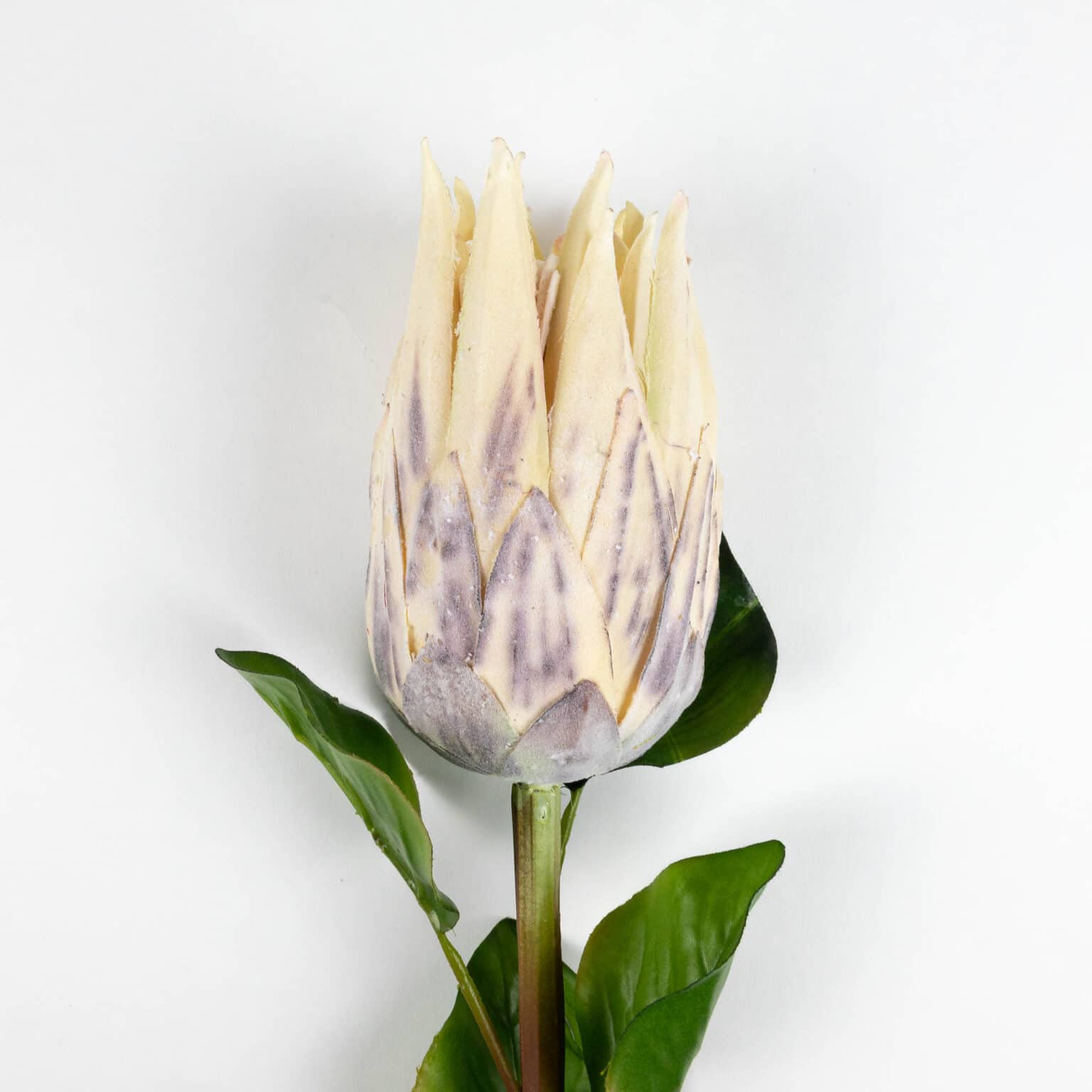 Artificial Protea Flower Stem 66cm Stunning Artificial Flowers