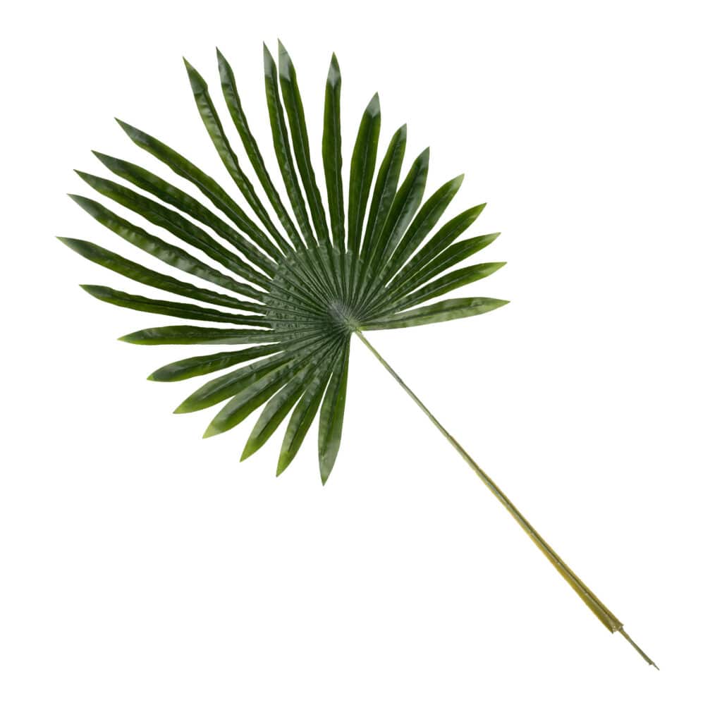 Artificial Fan Palm Leaf - Realistic High Quality Tropical Greenery