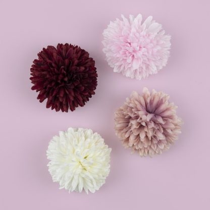 Chrysanthemum Flower Heads