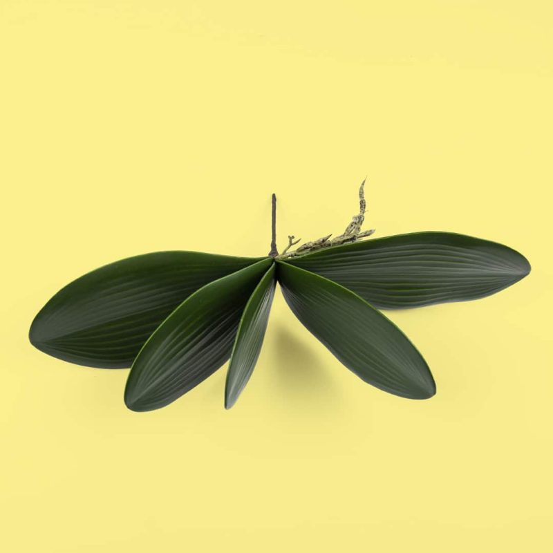 Artificial Orchid Leaf Spray