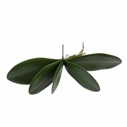 Artificial Orchid Leaf