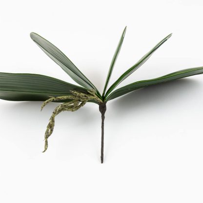Artificial Orchid Leaf
