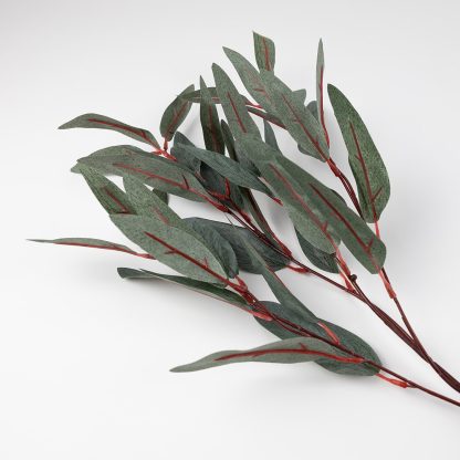 Long Leaf Eucalyptus Spray