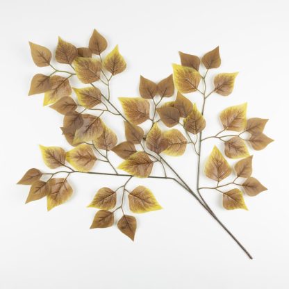 Autumn Birch Leaf Stem